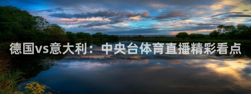 德国vs意大利：中央台体育直播精彩看点