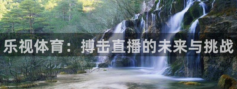 乐视体育：搏击直播的未来与挑战