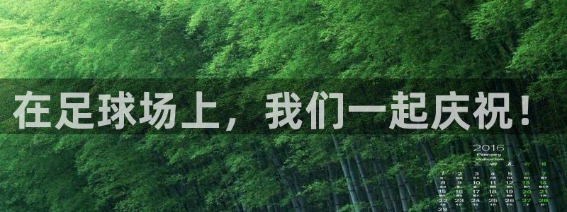 在足球场上，我们一起庆祝！