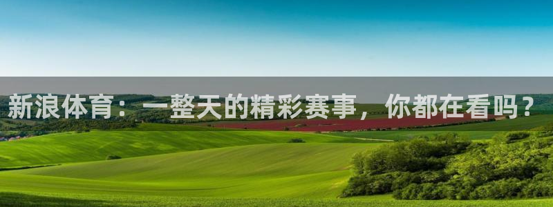 新浪体育：一整天的精彩赛事，你都在看吗？