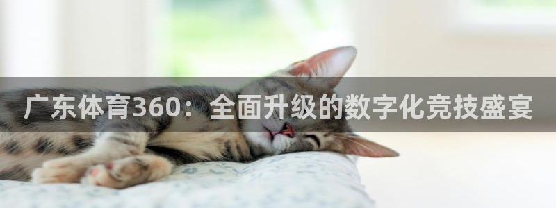 广东体育360：全面升级的数字化竞技盛宴