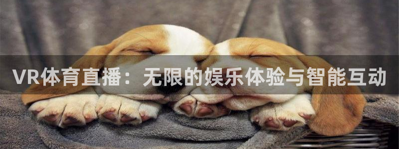 VR体育直播：无限的娱乐体验与智能互动
