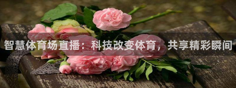 智慧体育场直播：科技改变体育，共享精彩瞬间
