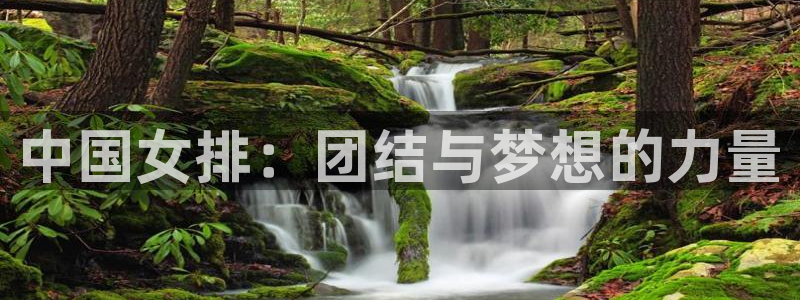 中国女排：团结与梦想的力量
