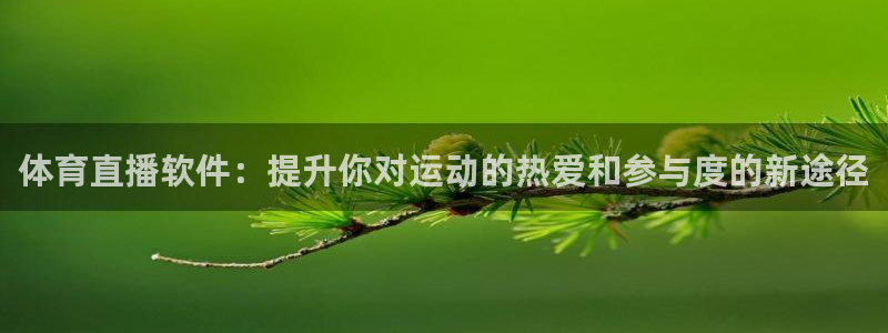 体育直播软件：提升你对运动的热爱和参与度的新途径