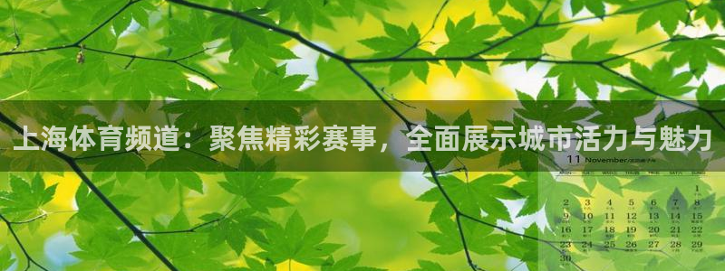 上海体育频道：聚焦精彩赛事，全面展示城市活力与魅力