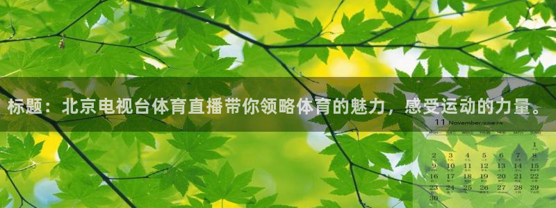 标题：北京电视台体育直播带你领略体育的魅力，感受运动的力量。