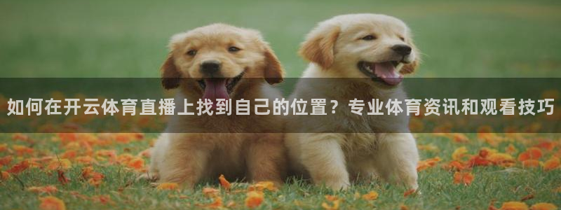 如何在开云体育直播上找到自己的位置？专业体育资讯和观看技巧