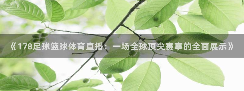 《178足球篮球体育直播：一场全球顶尖赛事的全面展示》