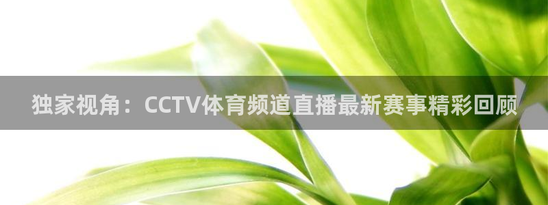 独家视角：CCTV体育频道直播最新赛事精彩回顾