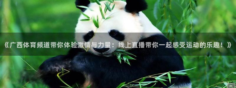 《广西体育频道带你体验激情与力量：线上直播带你一起感受运动的乐趣！》