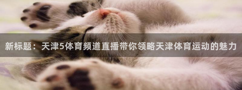 新标题：天津5体育频道直播带你领略天津体育运动的魅力
