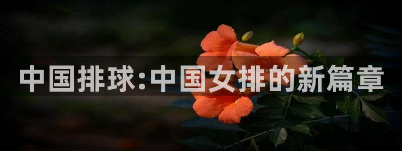 中国排球:中国女排的新篇章